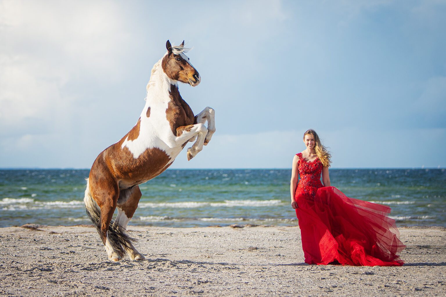 Pferdefotografin Birte Scheel Strand Ostsee IMG 7370 Homepage